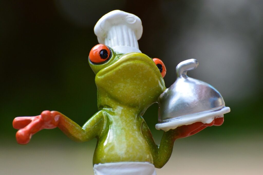 HelloFresh ou Quitoque : quelle box repas pour cuisiner en